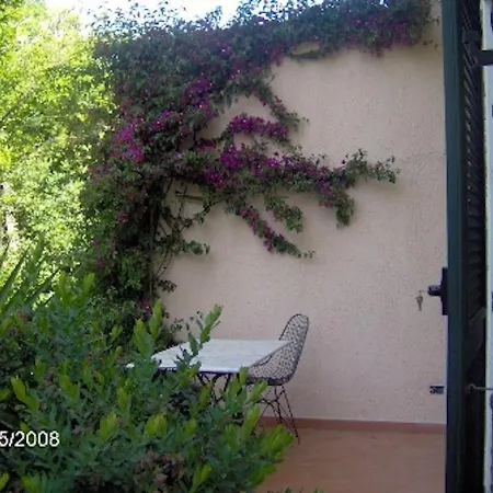 Maggiolino Al Mare *