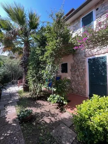 Maggiolino Al Mare *